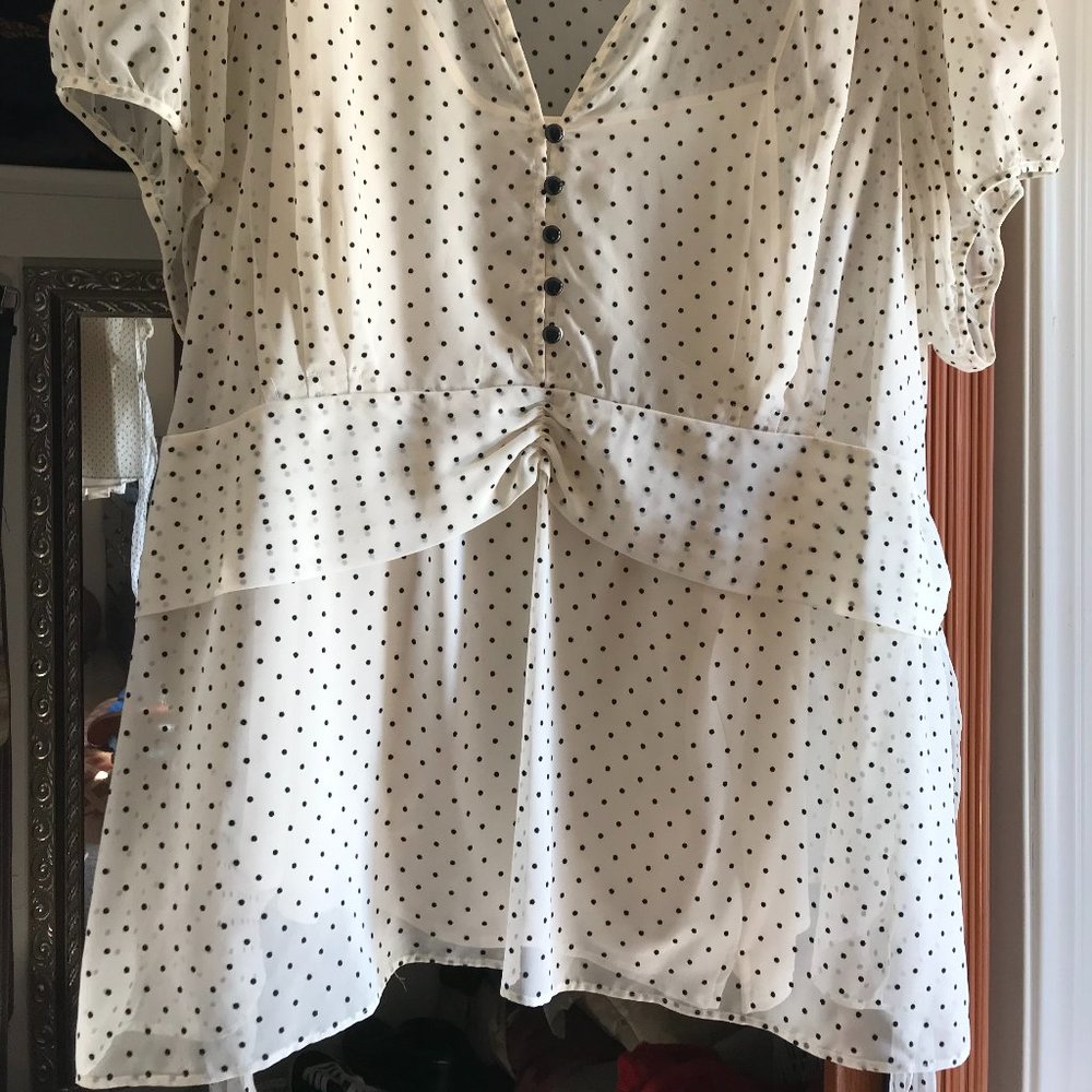 Lane Bryant Sheer Blouse with Under Shell - Picture 2 of 9